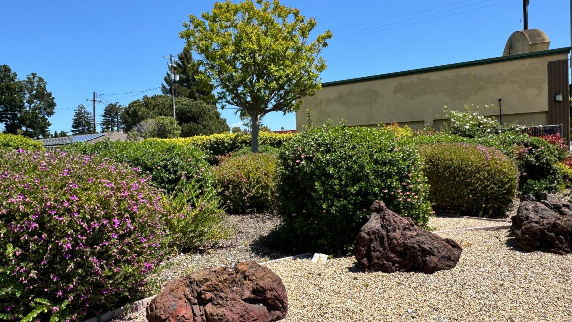 Hitching Post 2* Santa Cruz